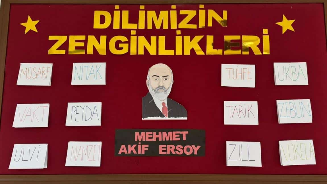 DİLİMİZİN ZENGİNLİKLERİ 